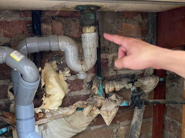 Best Fire Damage Restoration  in Royston, GA