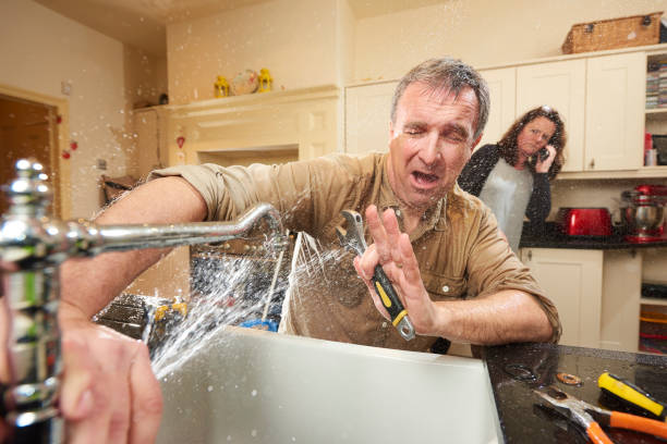 Best Professional water damage repair  in Royston, GA